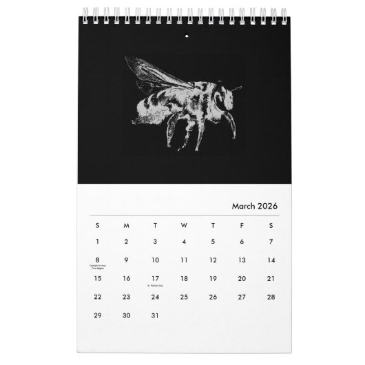 Calendrier Bugs World - Insects - 2022 (Mar 2026)