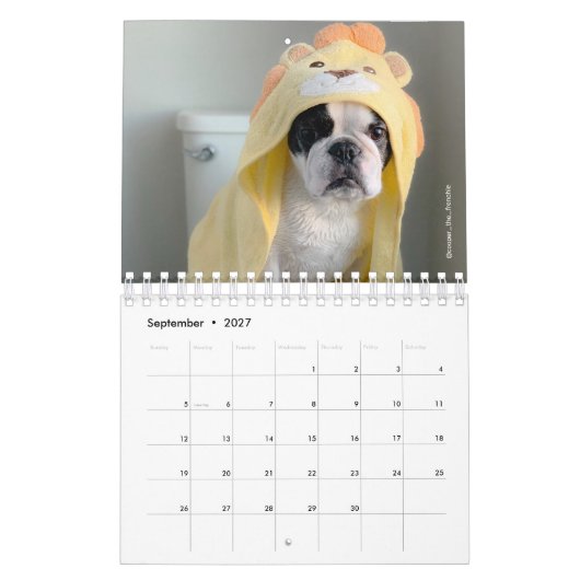 Calendrier Bulldog 2020 français - Cooper le Franç (Sep 2027)