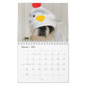 Calendrier Bulldog 2020 français - Cooper le Franç (Feb 2027)