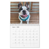 Calendrier Bulldog 2020 français - Cooper le Franç (Mar 2026)