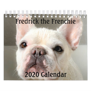 Calendrier Bulldog français 2020-Fredrick le franç