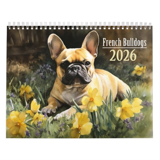 Calendrier Bulldog français 2026 (Protection)
