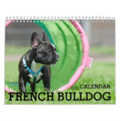 Calendrier Bulldog Français 2026 (Protection)