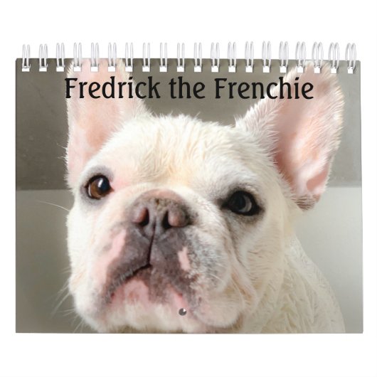 Calendrier Bulldog français - Fredrick le Français (Protection)