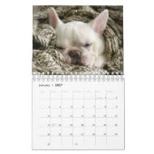 Calendrier Bulldog français - Fredrick le Français (Jan 2027)
