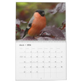 Calendrier Bullfinch Bird (Mar 2026)