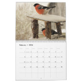 Calendrier Bullfinch Bird (Feb 2026)