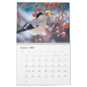 Calendrier Bullfinch Bird (Jan 2027)