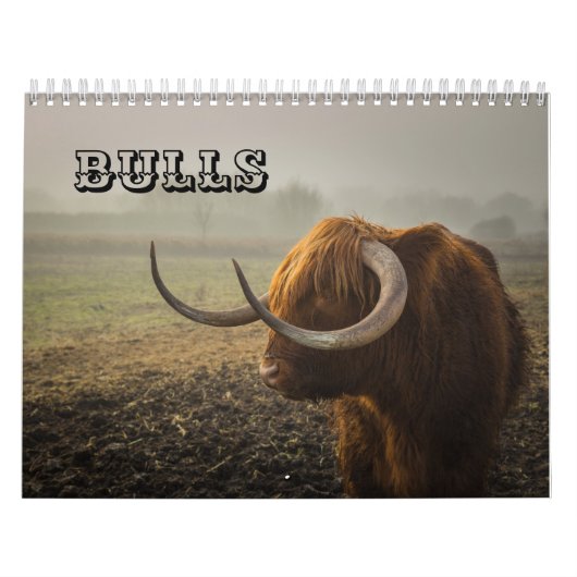 Calendrier Bulls (Protection)