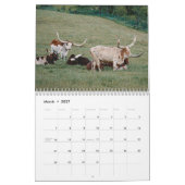 Calendrier Bulls (Mar 2027)