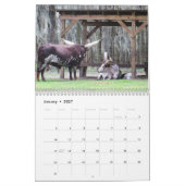 Calendrier Bulls (Jan 2027)