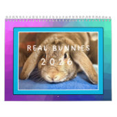 CALENDRIER BUNIES RÉELLES 2026 (Protection)