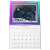 CALENDRIER BUNIES RÉELLES 2026 (Jan 2027)