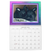 CALENDRIER BUNIES RÉELLES 2026 (Jan 2026)