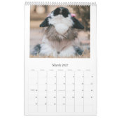 Calendrier Bunny (Mar 2027)