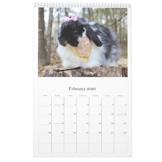 Calendrier Bunny (Feb 2026)