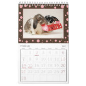 Calendrier Bunny de 12 mois (Feb 2027)