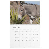 Calendrier Burros sauvage des montagnes noires (Feb 2026)