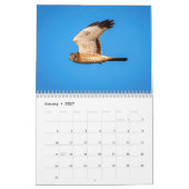 Calendrier Busard Saint-Martin 2026 (Jan 2027)