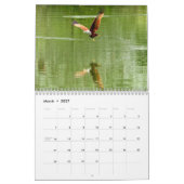 Calendrier Buse à queue rousse 2027 (Mar 2027)