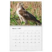 Calendrier Buse à queue rousse 2027 (Feb 2027)
