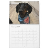 Calendrier Buster le Dachshund (Feb 2027)