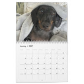 Calendrier Buster le Dachshund (Jan 2027)