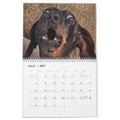 Calendrier Buster le Dachshund (Mar 2027)