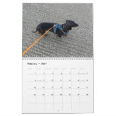 Calendrier Buster the Dachshund (Feb 2027)