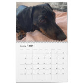 Calendrier Buster the Dachshund (Jan 2027)