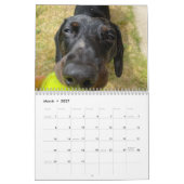 Calendrier Buster the Dachshund (Mar 2027)