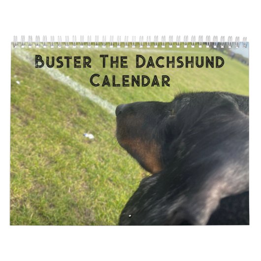 Calendrier Buster the Dachshund (Protection)