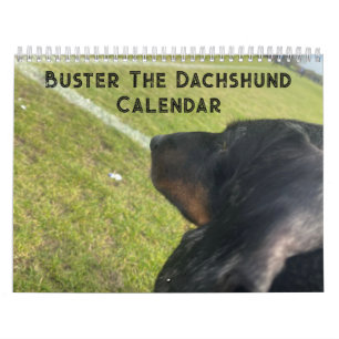 Calendrier Buster the Dachshund
