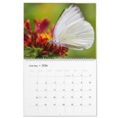 Calendrier Butterflies (Jan 2026)
