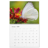 Calendrier Butterflies (Jan 2027)