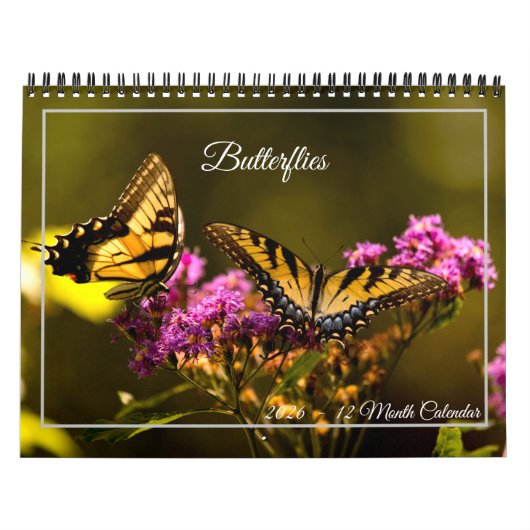 Calendrier Butterflies 12 Month Calendar (Protection)