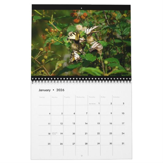 Calendrier Butterflies 12 Month Calendar (Jan 2026)