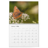 Calendrier Butterflies 2025 (Jan 2026)