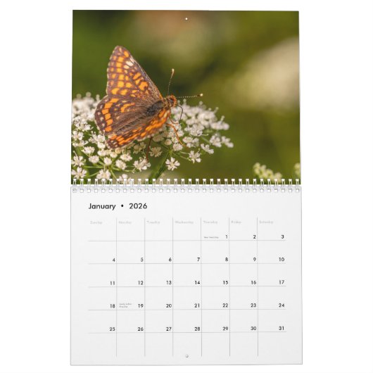 Calendrier Butterflies 2025 (Jan 2026)