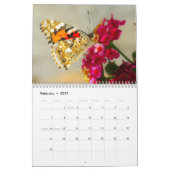 Calendrier Butterflies 2025 (Feb 2027)