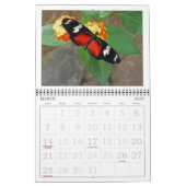 CALENDRIER "BUTTERFLIES" 2026 (Mar 2027)