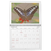 CALENDRIER "BUTTERFLIES" 2026 (Feb 2027)