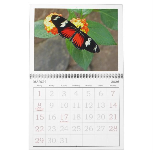 CALENDRIER "BUTTERFLIES" 2026 (Mar 2026)