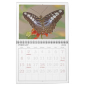 CALENDRIER "BUTTERFLIES" 2026 (Feb 2026)