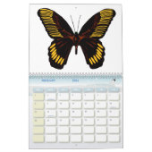 Calendrier Butterflies 2026 One Year Calendar (Feb 2026)