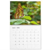 Calendrier Butterflies of Wonder 2026 Nature Calendar (Mar 2026)