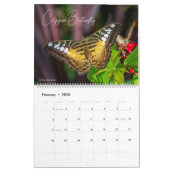 Calendrier Butterflies of Wonder 2026 Nature Calendar (Feb 2026)