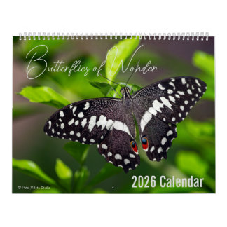Calendrier Butterflies of Wonder 2026 Nature Calendar