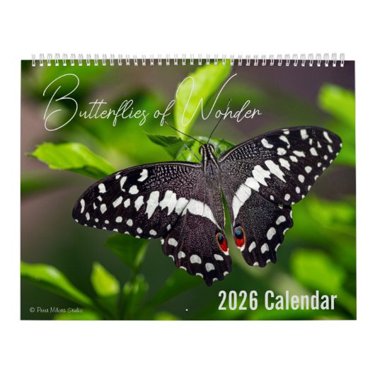 Calendrier Butterflies of Wonder 2026 Nature Calendar (Protection)