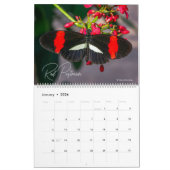 Calendrier Butterflies of Wonder 2026 Nature Calendar (Jan 2026)